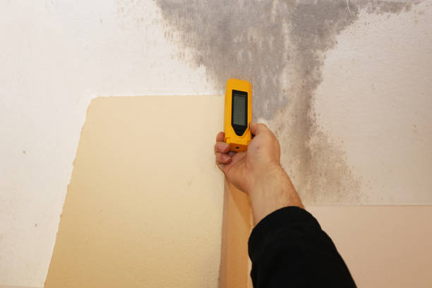 Best Crawl Space Mold Remediation  in Cienega Springs, AZ