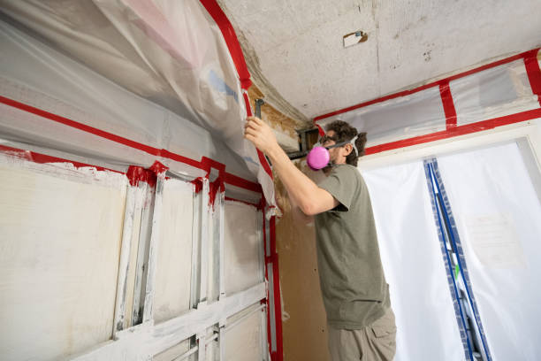 Best Mold Odor Removal Services  in Cienega Springs, AZ
