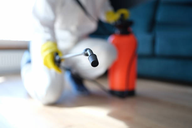 Best Commercial Mold Inspection  in Cienega Springs, AZ